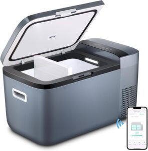 ICECO GO20 Dual Zone 12V Refrigerat...
