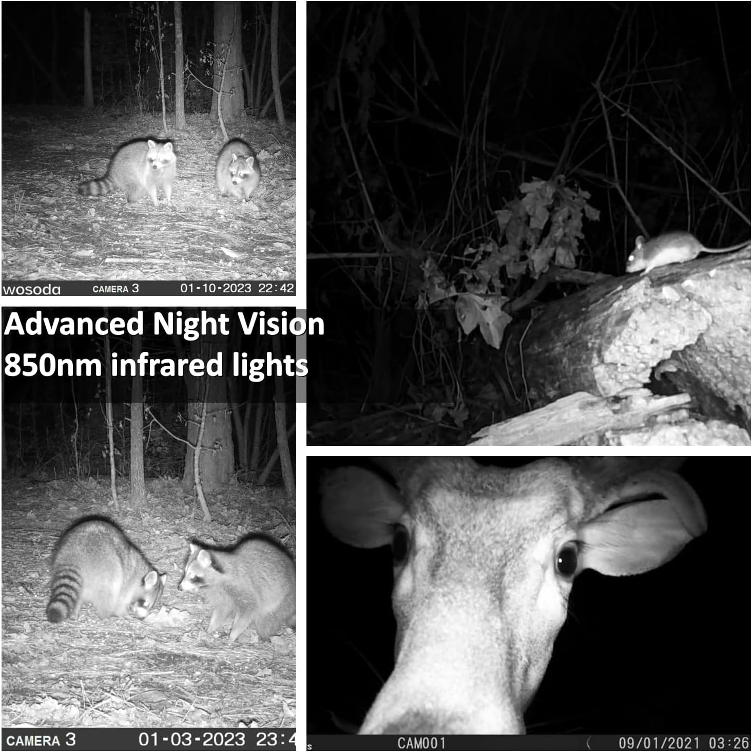 WOSODA 2 Pack Trail Cameras with Night Vision Motion Activated Waterproof,48MP Hunting Game Camera,1080P HD Trail Cam with SD Card for Wildlife Monitoring,Outdoor Scouting & Security - Image 3