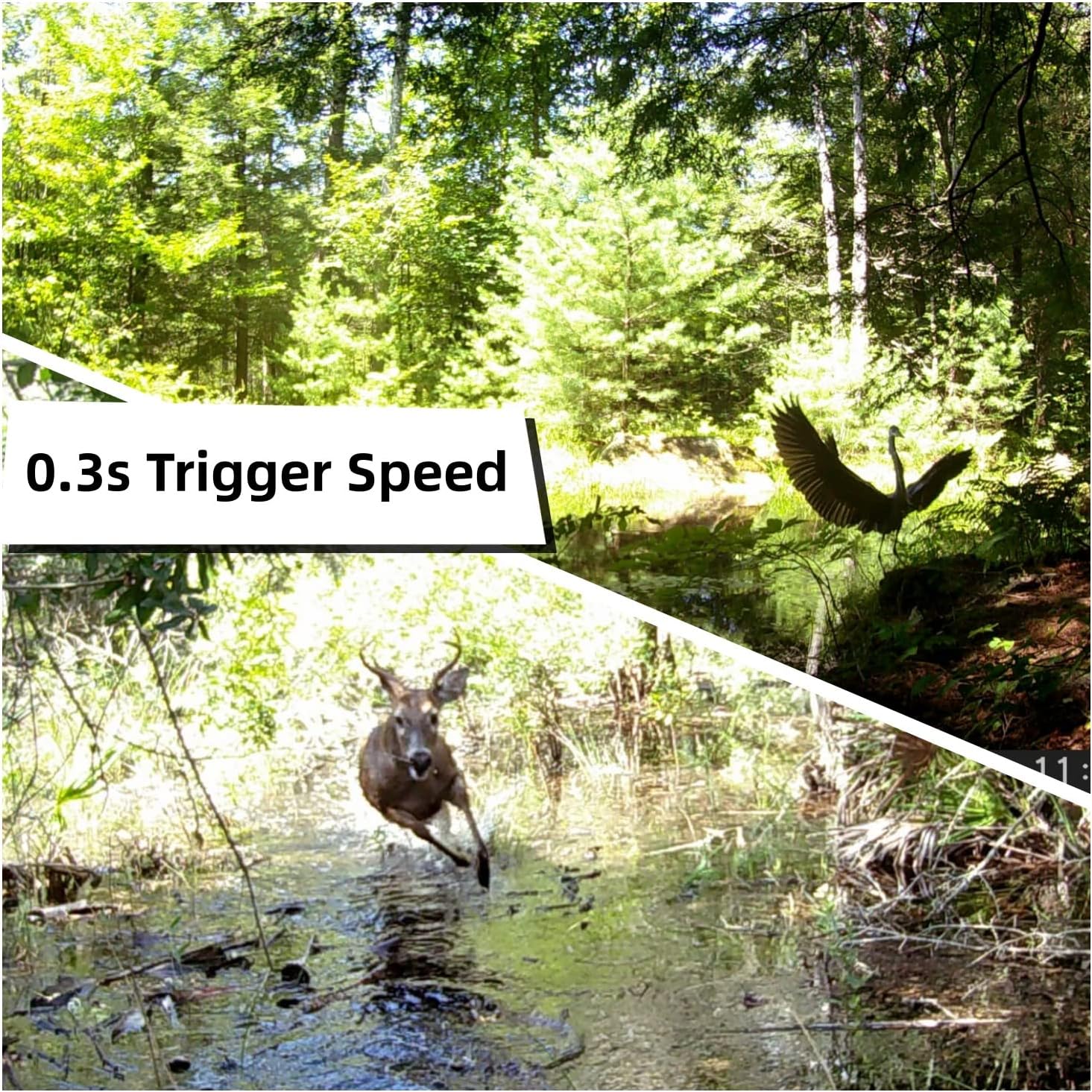 WOSODA 2 Pack Trail Cameras with Night Vision Motion Activated Waterproof,48MP Hunting Game Camera,1080P HD Trail Cam with SD Card for Wildlife Monitoring,Outdoor Scouting & Security - Image 4
