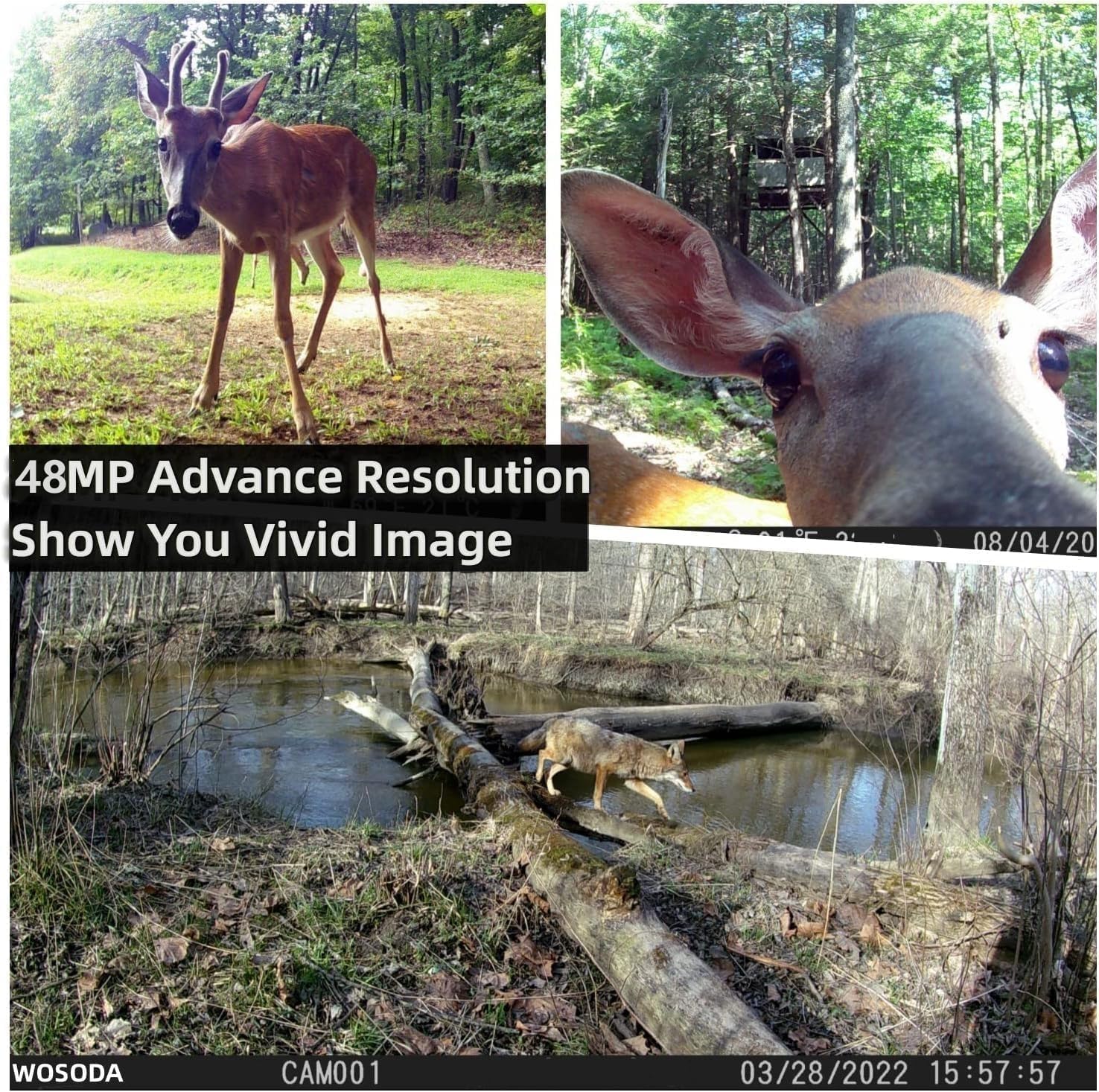 WOSODA 2 Pack Trail Cameras with Night Vision Motion Activated Waterproof,48MP Hunting Game Camera,1080P HD Trail Cam with SD Card for Wildlife Monitoring,Outdoor Scouting & Security - Image 2