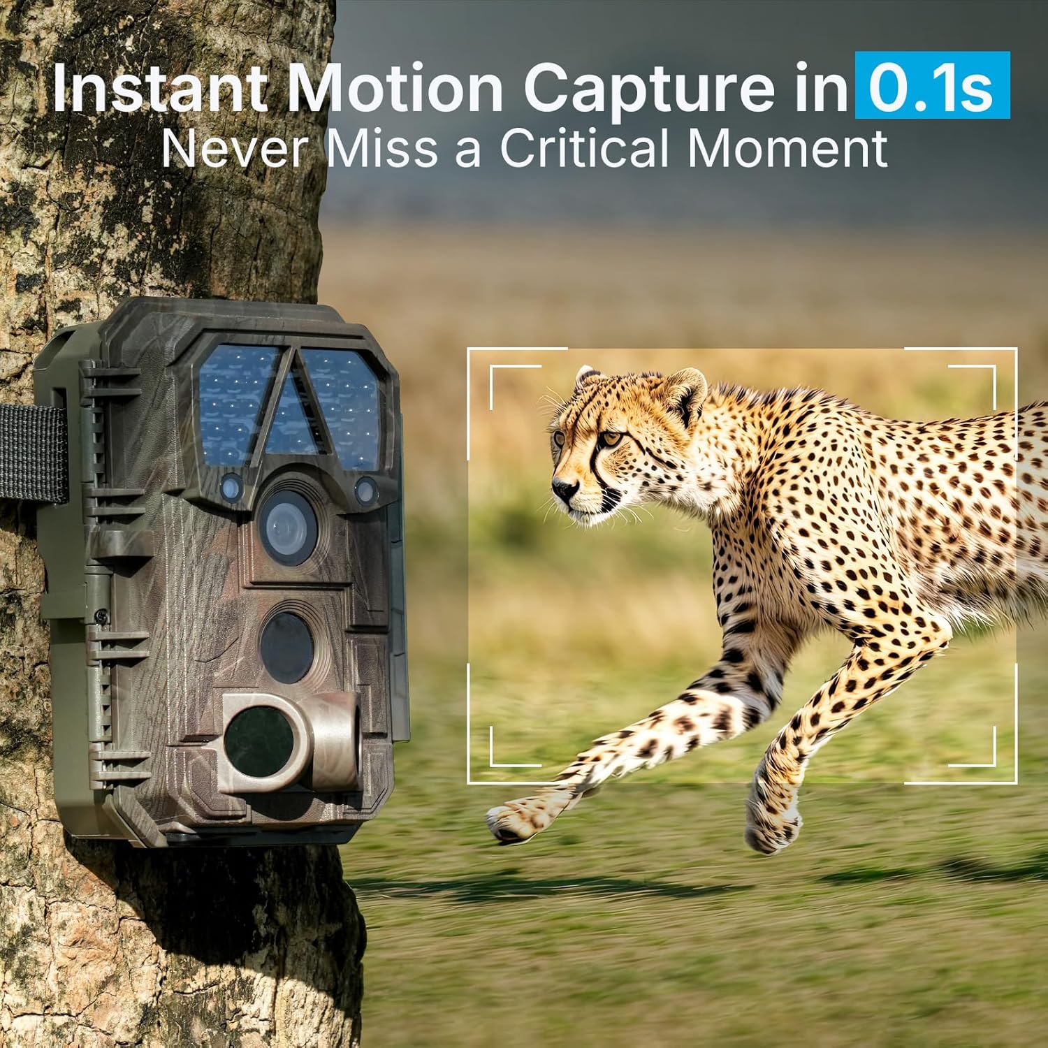 Meidase P70 (Non-Cellular,Non-WiFi) Trail Camera, 64MP 1296p, Game Cameras with No-Glow IR Night Vision, Motion Activated, Waterproof for Wildlife Deer Cams, Hunting - Image 5