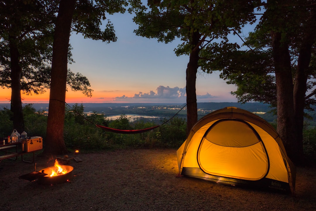 A warm campfire surrounded by camping gear and tents in a cool outdoor setting.