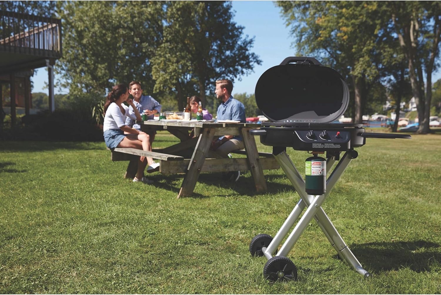 Coleman RoadTrip 225 Portable Propane Grill, 2-Burner Gas Grill with Matchless Ignition & Adjustable Temperature Control, 11,000 BTUs of Power for Grilling, Tailgating, Camping, BBQ, & More - Image 8